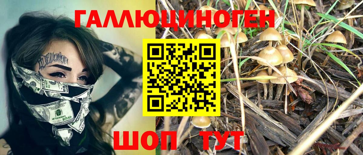 Псилоцибиновые грибы ЛСД Краснодар
