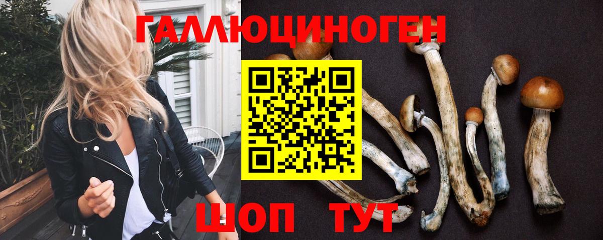 Краснодар  Галлюциногенные грибы ЛСД  Вход с VPN 